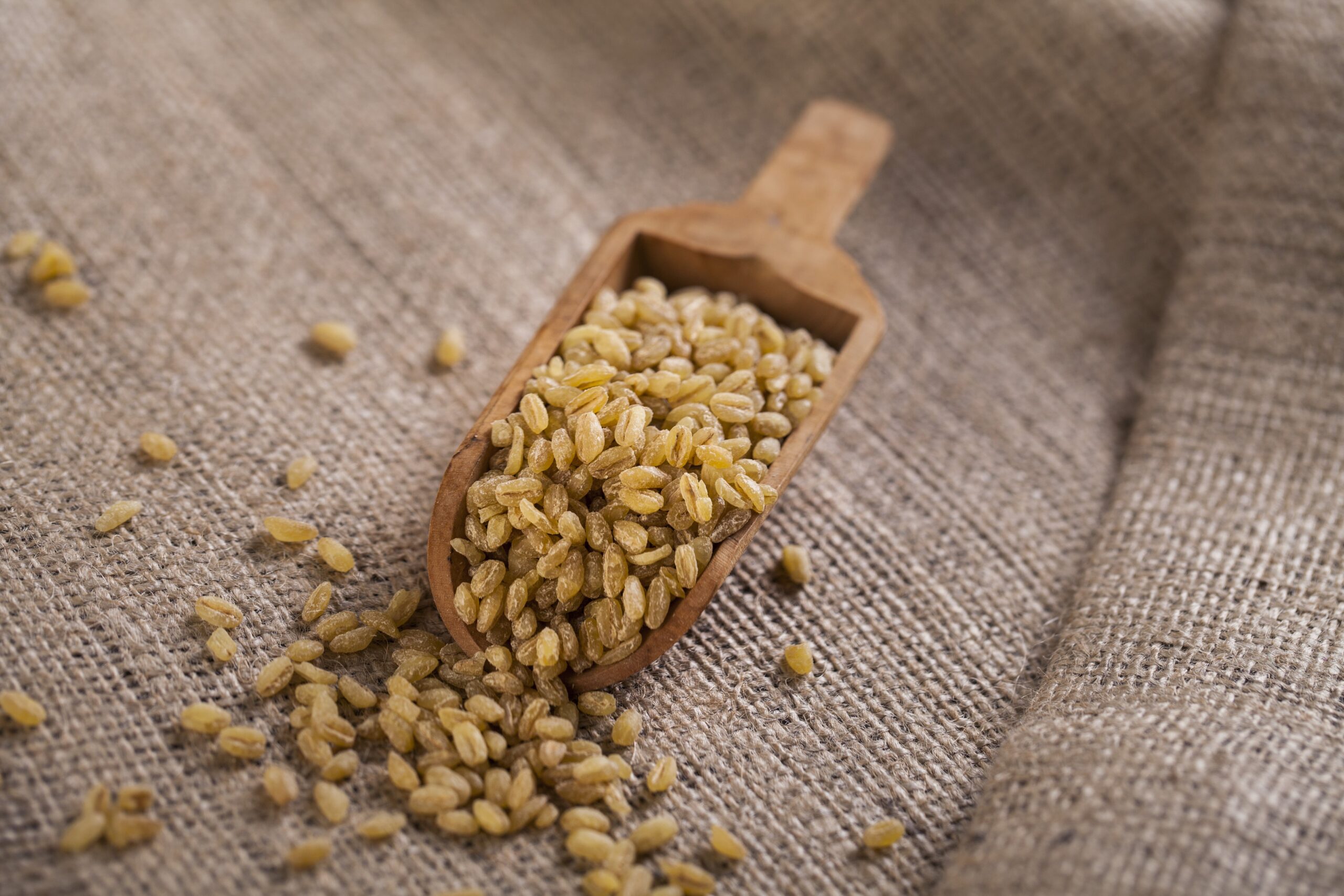 Duru Bulgur’dan 2 bin yıllık genetik mirasa bilimsel vefa