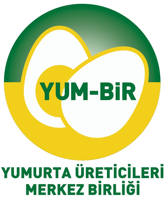 Yumurta üretiminde son 3 yılın rekoru